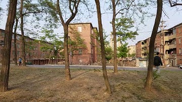 Autonomous Visual Tracking of a Moving Target in Unknown Cluttered Outdoor Scenes with a MAV