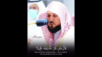 تلاوة خاشعة من الشيخ ماهر المعيقلي #اكسبلور #المصحف #دويتو