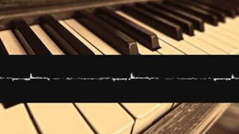 Socioeconomiczoomusicology Feature gmcjpokkxm