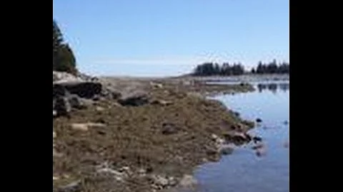 Sea-Level Rise and its Past Impacts on Frenchman Bay