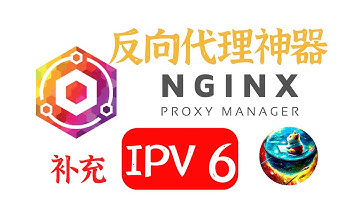 反向代理神器Nginx Proxy Manager，补充如何使用IPv6，用IPv6直接登录面版，代理IPv6地址，多个方法，视频采用的方法只需补充一行代码即可