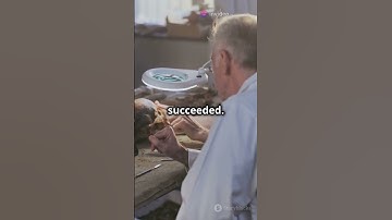 The Mysterious Phaistos Disc