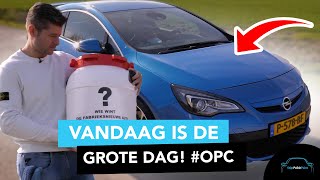 Vandaag Is De Grote Dag - Stipt Polish Point