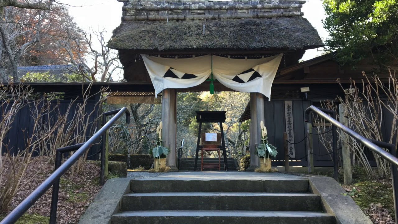 縁切寺(グレープ) accords