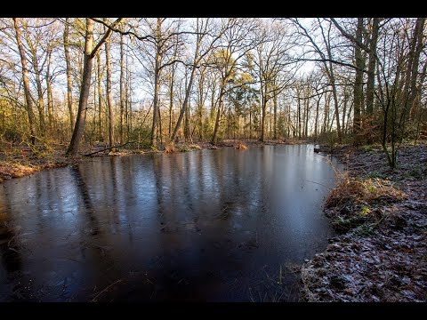 Video: En Weer Die Natuur Naboots