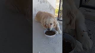 23 Mayıs 2025 Resimi