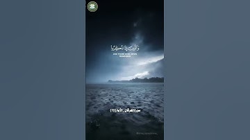 سورة الفرقان 🎇❤️ #ياسر_الدوسري #اكسبلور #لايك #اهميه