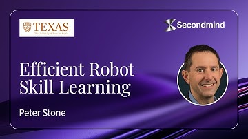 Peter Stone - Efficient Robot Skill Learning