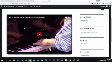How To Work With You Video Gallery Plugin ?