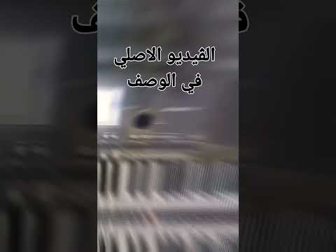 لا داعي ايهاب توفيق تعليم