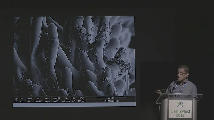 Emerging Diseases of Cannabis Sativa and Approaches to Management - Zamir Punja, Ph.D.
