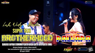 SUPIR TAKSI - LALA WIDY FT BRODIN - NEW PALLAPA - LIVE BROTHERHOODS 2023