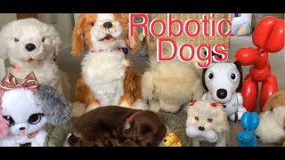 Robotic interactive animatronic dog collection