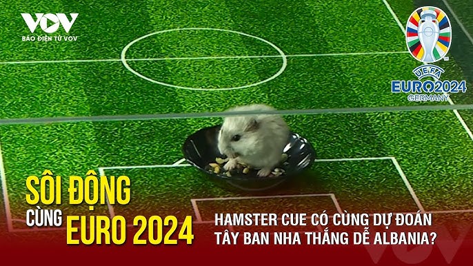 3. Phân tích chi tiết từng đội bóng