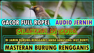 Masteran Burung Rengganis Gacor Full Ropel Durasi Panjang screenshot 3