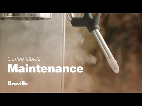 The Barista Express® | How to clean and unblock the steam wand for perfect microfoam | Breville USA