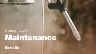 The Barista Express® | How to clean and unblock the steam wand for perfect microfoam | Breville USA