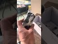 HECTÖR HUNTER MODELİ YENİ PROFESYONEL TRAŞ MAKİNASI
