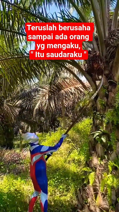 inilah namanya kehidupan #motivasidiri #sorotan #storywa #shortvideo
