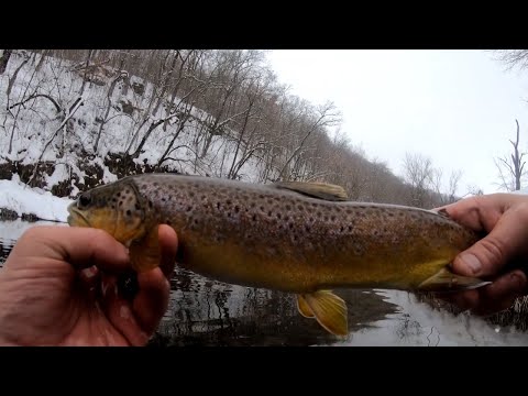 Spinner Fishing for WILD TROUT (Homemade Spinners)