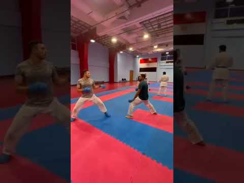 نجوم مصر في الكاراتيه Karate Fitness Kumitetraining Healthy Kumitetraining Workout
