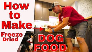 How to Make Your Own Freeze Dried Dog Food Recipe