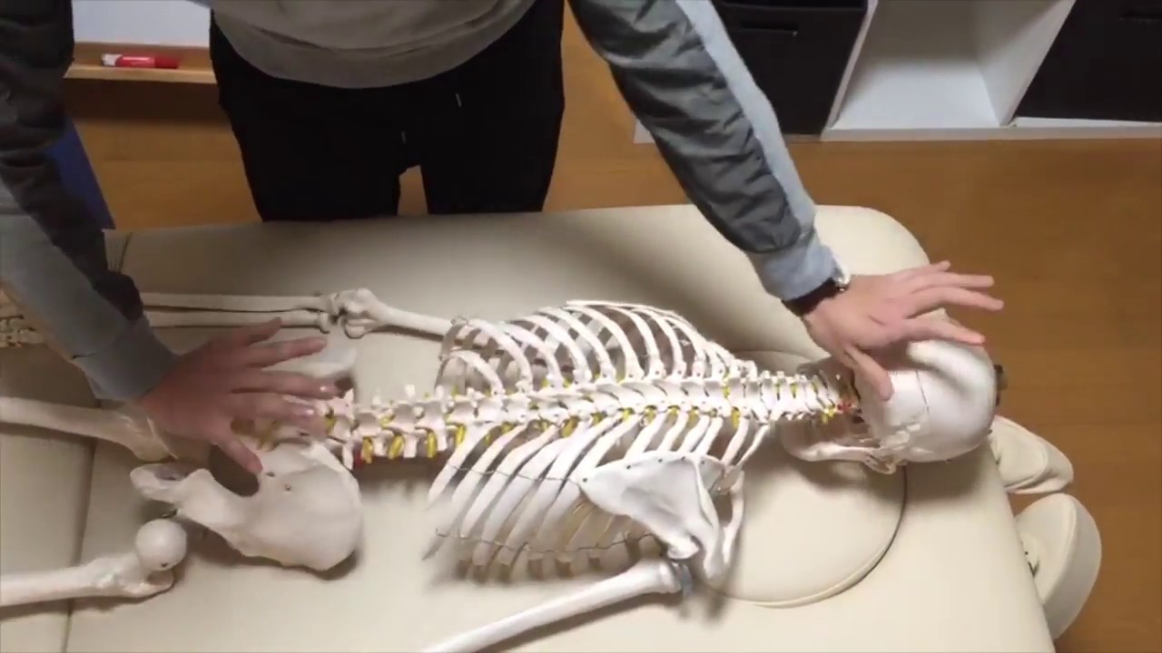 頭蓋仙骨リズムの触診方法 仙骨編 Youtube