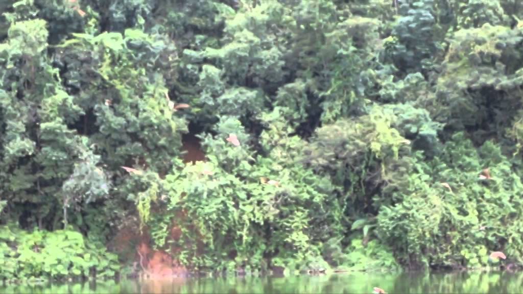 สารคดีท่องเที่ยวจังหวัดตราด 