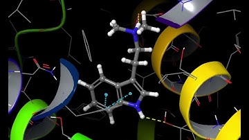 Tripping at the Atomic Level: DMT Meets the 5-HT2A Receptor