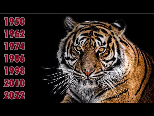 Men tasodifan dugonamning xotinini sikib oldim Erkak kunnilingusni amalga oshiradi va ozini onanizm qiladi