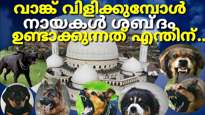 വാങ്ക് കൊടുക്കുമ്പോൾ നായകൾ ശബ്ദം ഉണ്ടാകുന്നതിന്റെ  കാരണം എന്ത്..? #Islamic_Vedeos #Mathaprabhashanam