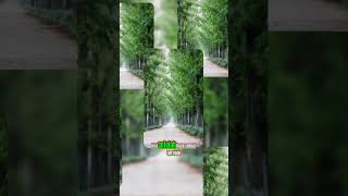 Download Lagu Miskin Cari Tuhan,Kaya Lupa Tuhan MP3