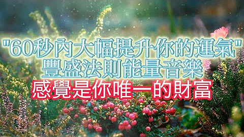 ※60秒内大幅提升你的运气｜引发奇蹟振动 你想要的一切早已存在 ｜感觉是你的唯一财富｜432hz 早晚调息、冥想、深呼吸用｜修正你的感觉（戴耳机效果更好） - 天天要闻
