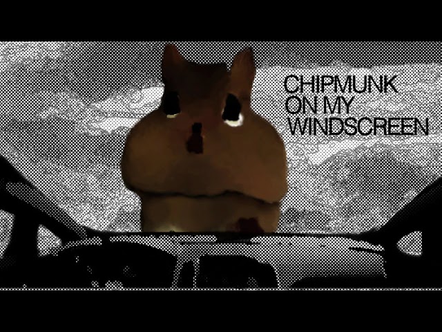Chipmunk on My Windscreen class=