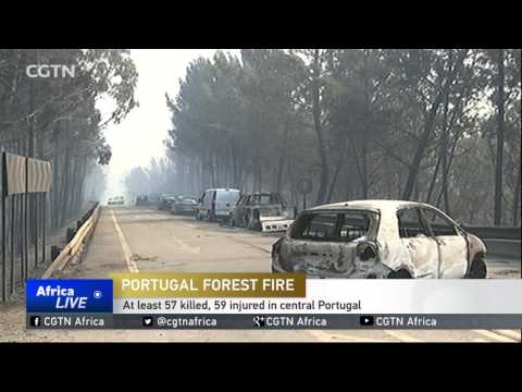 Portugal Forest Fire: At least 57 killed, 59 injured in central Portugal