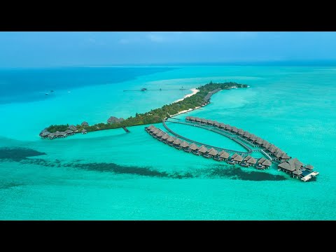 Видео: Новый отель высокого класса на Мальдивах с экзотическим дизайном Особенности: Vivanta by Taj