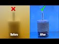 Diy fish tank filter  how to make aquarium filter at home