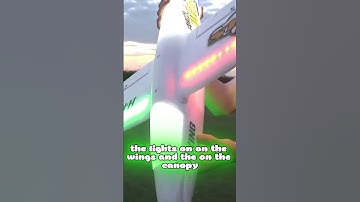 H-King Night Walrus Lights Up the Sky