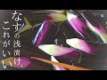 【保存版】なすの浅漬け『2つの味』砂糖なしミョウバンなしの作り方【なす レシピ】