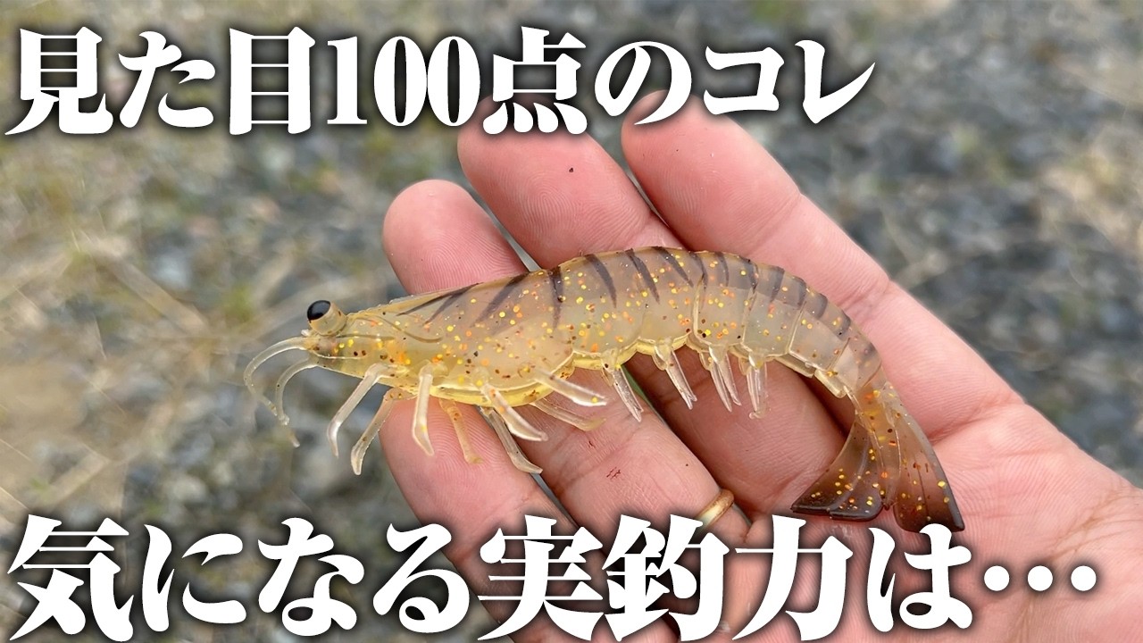 えびになります。 My thoughts: Seriously, it's like a shrimp. I tried out the lure