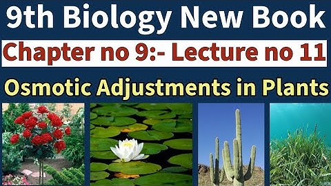 Osmotic Adjustments in Plants | Hydrophytes| Mesophytes | Halophytes| Xerophytes| 9th Bio | Lec # 11