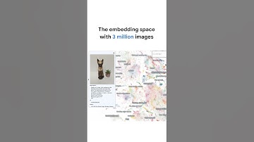 Understanding embeddings in one minute #GenerativeAI
