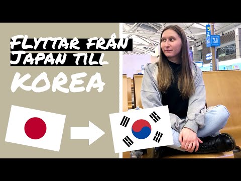 Video: Topp 5 Tips För Att Spara Pengar På Din Resa Till Seoul, Sydkorea