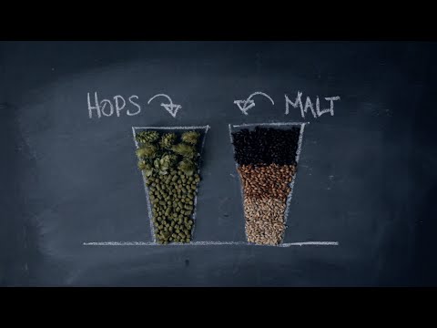 Video: Crafty Mom: Craft Beer 101