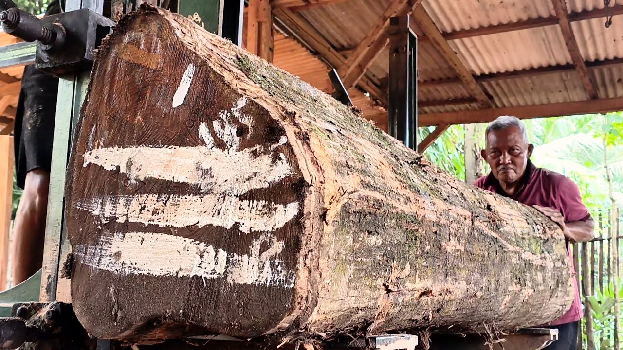 Test Patience During the Process of Processing Logs from Giant Tree Trunks | At the Big Tree Sawmill