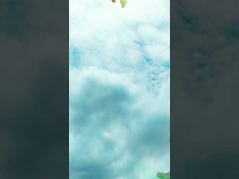 عايز تفلح دكتور حسام موافي حسام موافي تدبر قران زيادة عدد المشاهدات