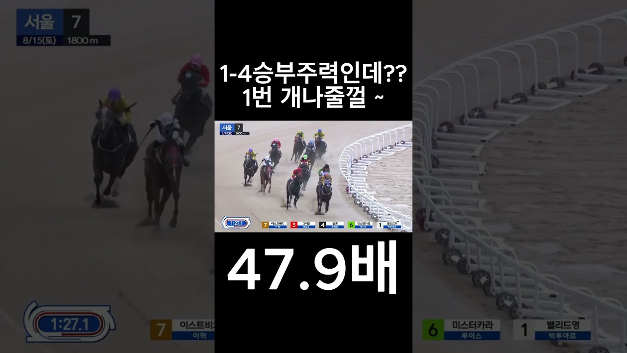 1번 개나 줄껄~  #경마  #경마예상  #경마방송  #경마예상방송  #서울경마  #금요경마  #토요경마  #일요경마 #경마장
