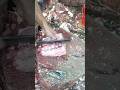 marketing fish cutting face and subscribe corridor Samudra 10 kilo like comment 👆👆👆👈👈