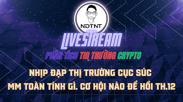 NDTNT Livestream 011225: NHỊP ĐẠP CỤC SÚC CỦA MM, CƠ HỘI NÀO CHO NHỊP HỒI TIẾP DIỄN?