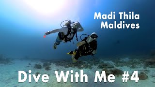 Dive With Me #4: Madi Thila, Maldives (2024-01-16)